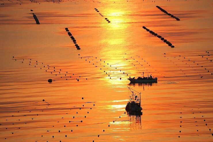 japanguidecom's tweet photo. 12 years after the tsunami: part 21 of an open-ended series about the recovery of the tsunami-hit coast with an emphasis on tourism: https://t.co/JTlIbG72HY https://t.co/OhCHC2tdFT