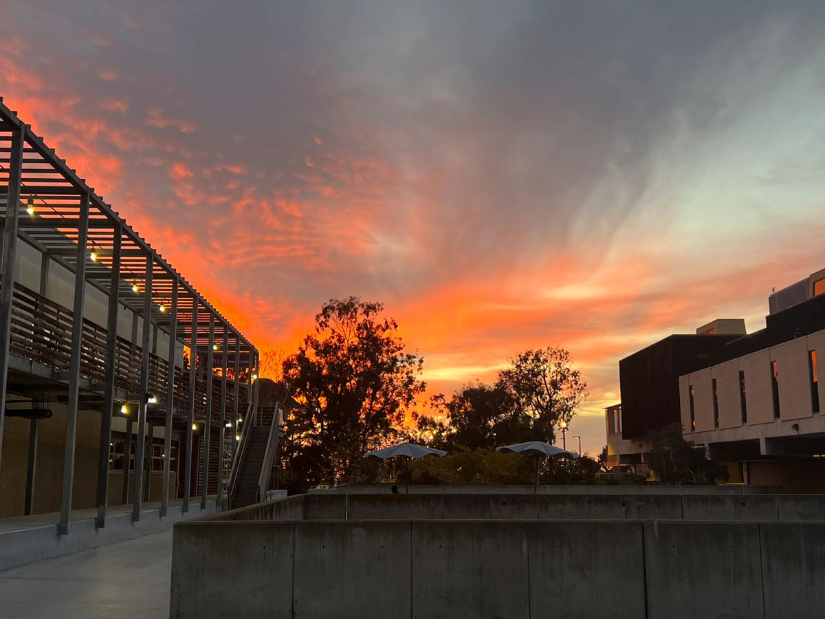I will always love the California sunshine.
Even if I slip away soon, I will still miss it~.
📷 Taken in
#Los Angeles #view