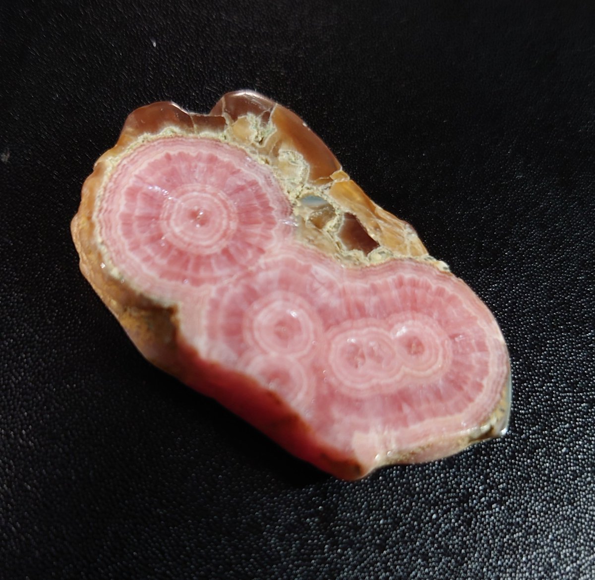 junos_phyllon's tweet photo. インカローズ( #Rhodochrosite #菱マンガン鉱）
アルゼンチン産
光明堂(@RODO_incarose)さま

第2回長岡ミネラルマルシェにてひとめぼれ。輪切りのインカローズを初めて見た衝撃とかわいさに立ち止まってしまった。インカローズは幾つあっても良き。ためいきしかでないぐらいうちのこが一番かわいい。 https://t.co/cWp7z5lj0V