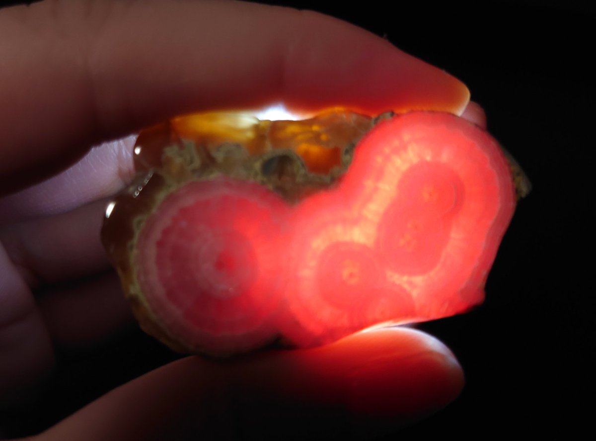 junos_phyllon's tweet photo. インカローズ( #Rhodochrosite #菱マンガン鉱）
アルゼンチン産
光明堂(@RODO_incarose)さま

第2回長岡ミネラルマルシェにてひとめぼれ。輪切りのインカローズを初めて見た衝撃とかわいさに立ち止まってしまった。インカローズは幾つあっても良き。ためいきしかでないぐらいうちのこが一番かわいい。 https://t.co/cWp7z5lj0V