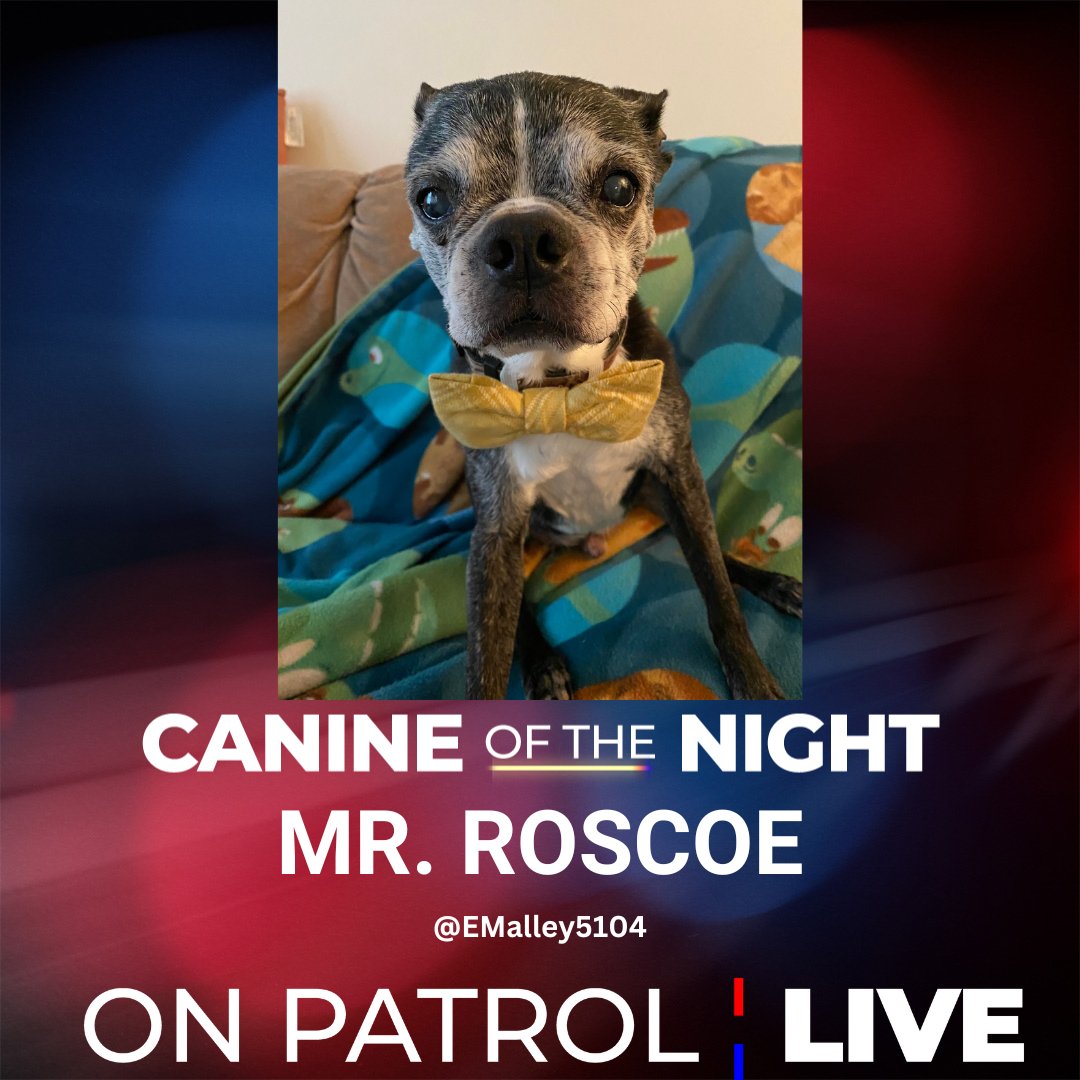 #OPNation, your #OPLive #CanineoftheNight goes to MR. ROSCOE. Congratulations, @EMalley5104 #OnPatrolLive
