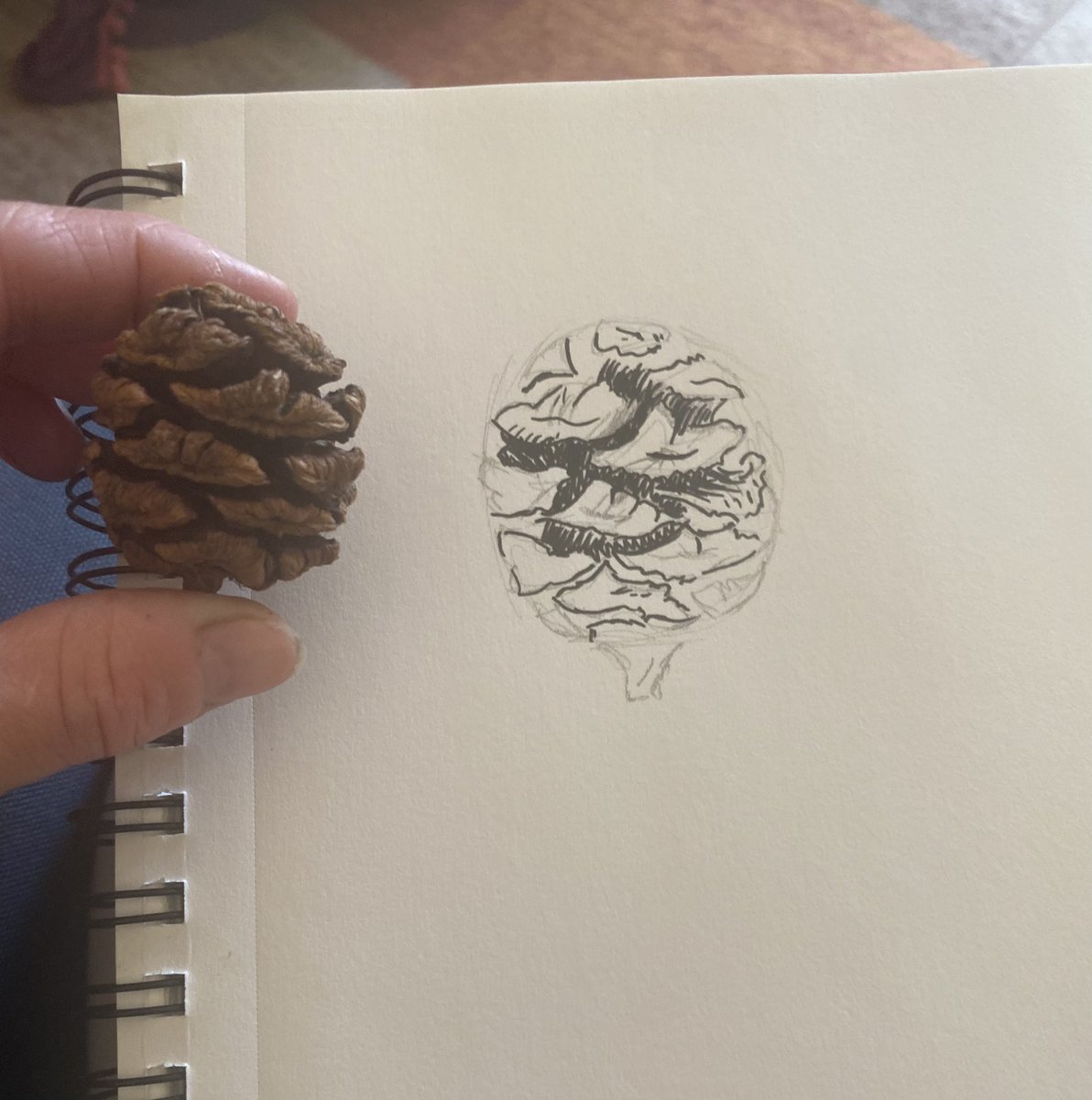Something a bit meditative about drawing sometimes, the trick is to not be obsessed with getting it right whilst in the process