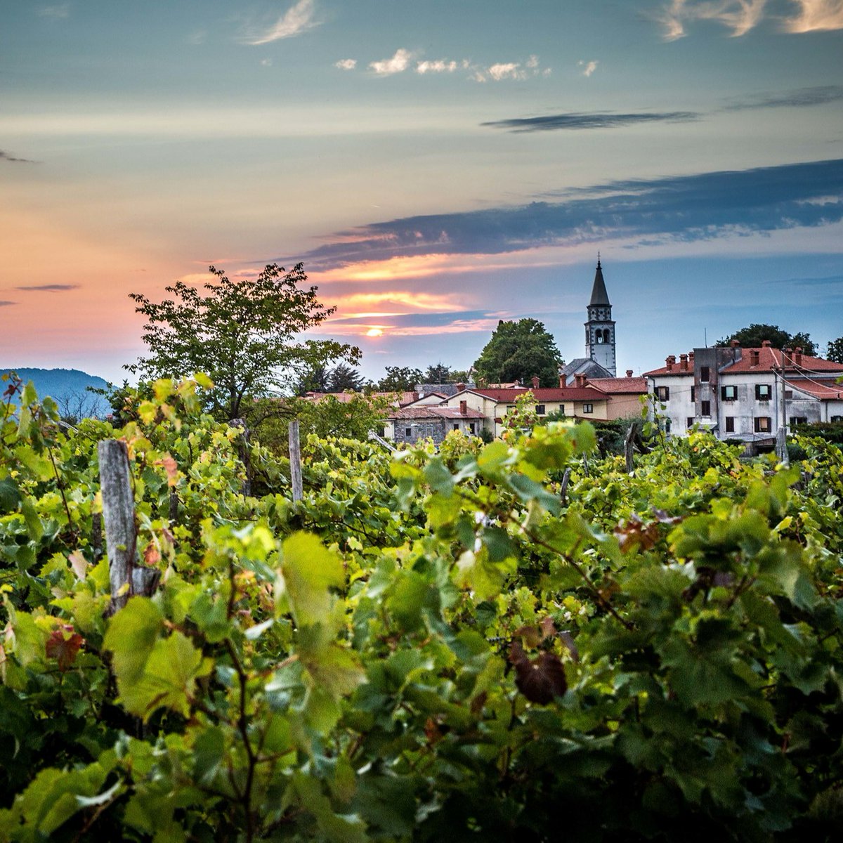 💚Happy Statehood Day, Slovenia! 

#ifeelsLOVEnia #mojaslovenija

Read more: slovenia.info