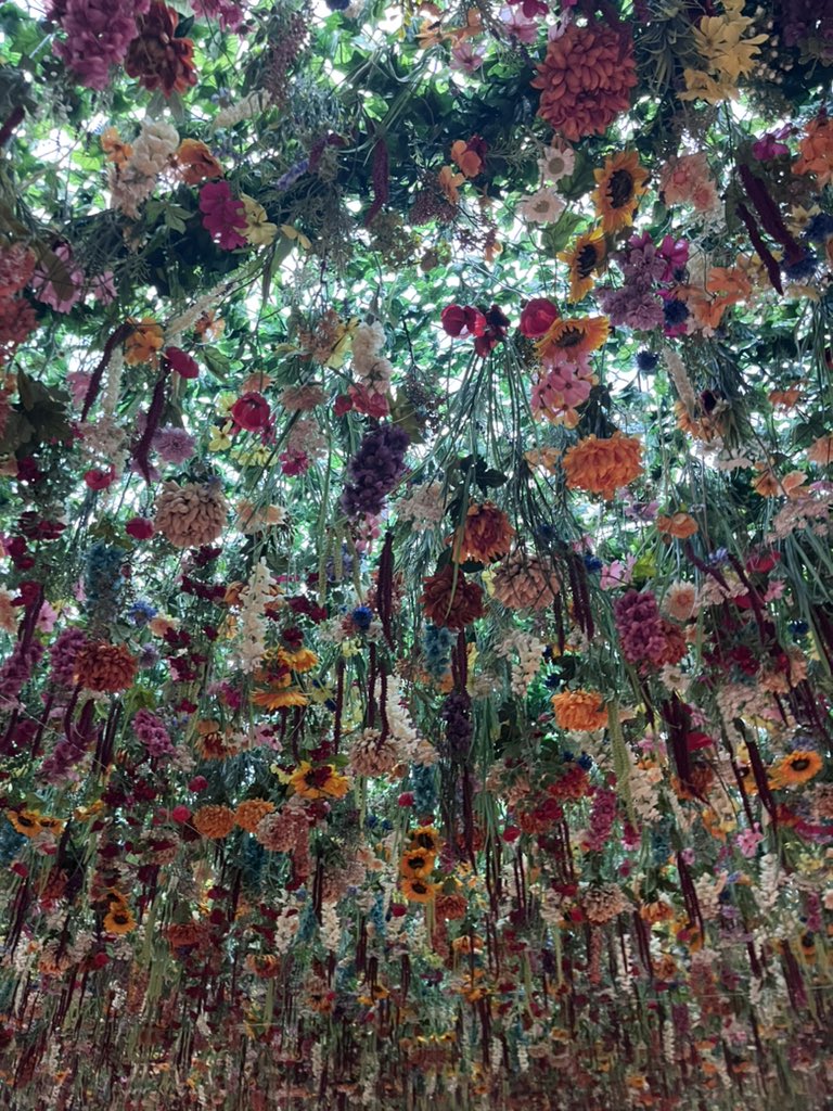 Kurt Giuliani PhD tweet media