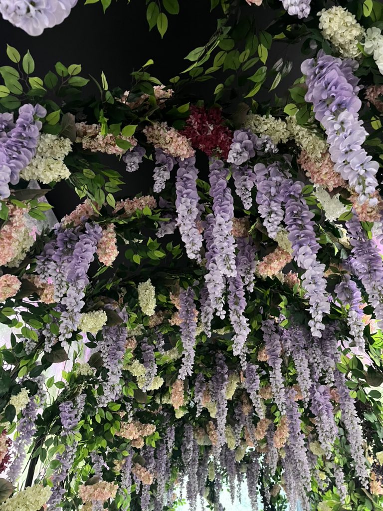 Kurt Giuliani PhD tweet media