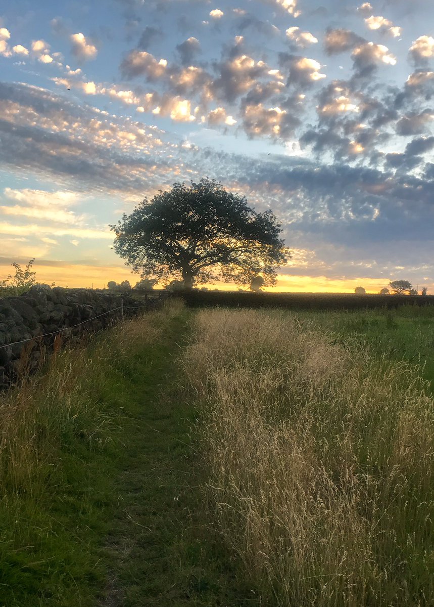 A midsummer evening stroll under a scrumptious sky. Through the meadows and fields of a somewhat warm West Yorkshire! 😍
#Halifax #WestYorkshire