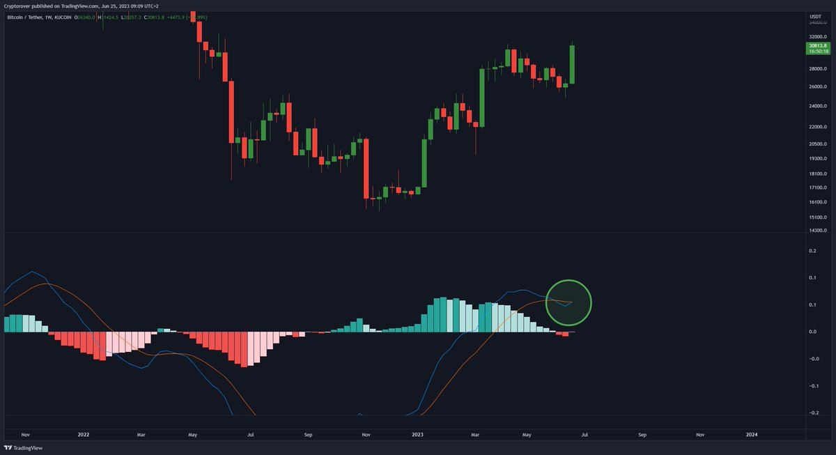 Crypto Rover tweet media