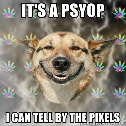 nyandogclassic's tweet photo. $DYANC https://t.co/2WfHoQ5Bh2