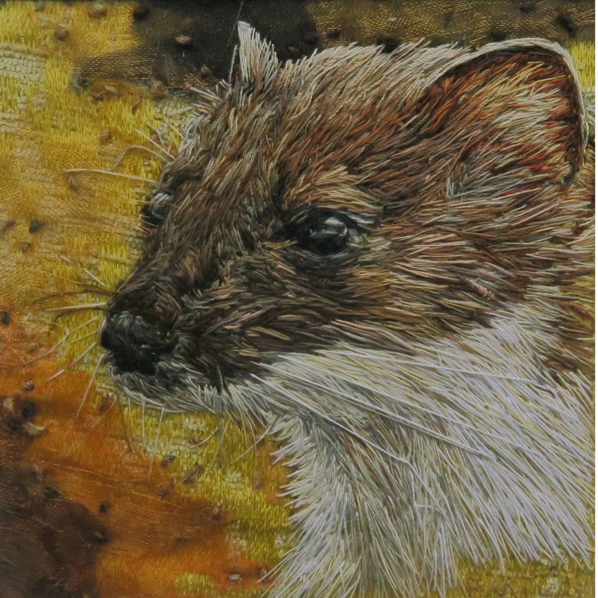 Weasel
original animal thread painting - hand stitched artwork. Mounted.
emilytull.co.uk/store/p201/wea…
#EarlyBiz #ad #WildlifeArt