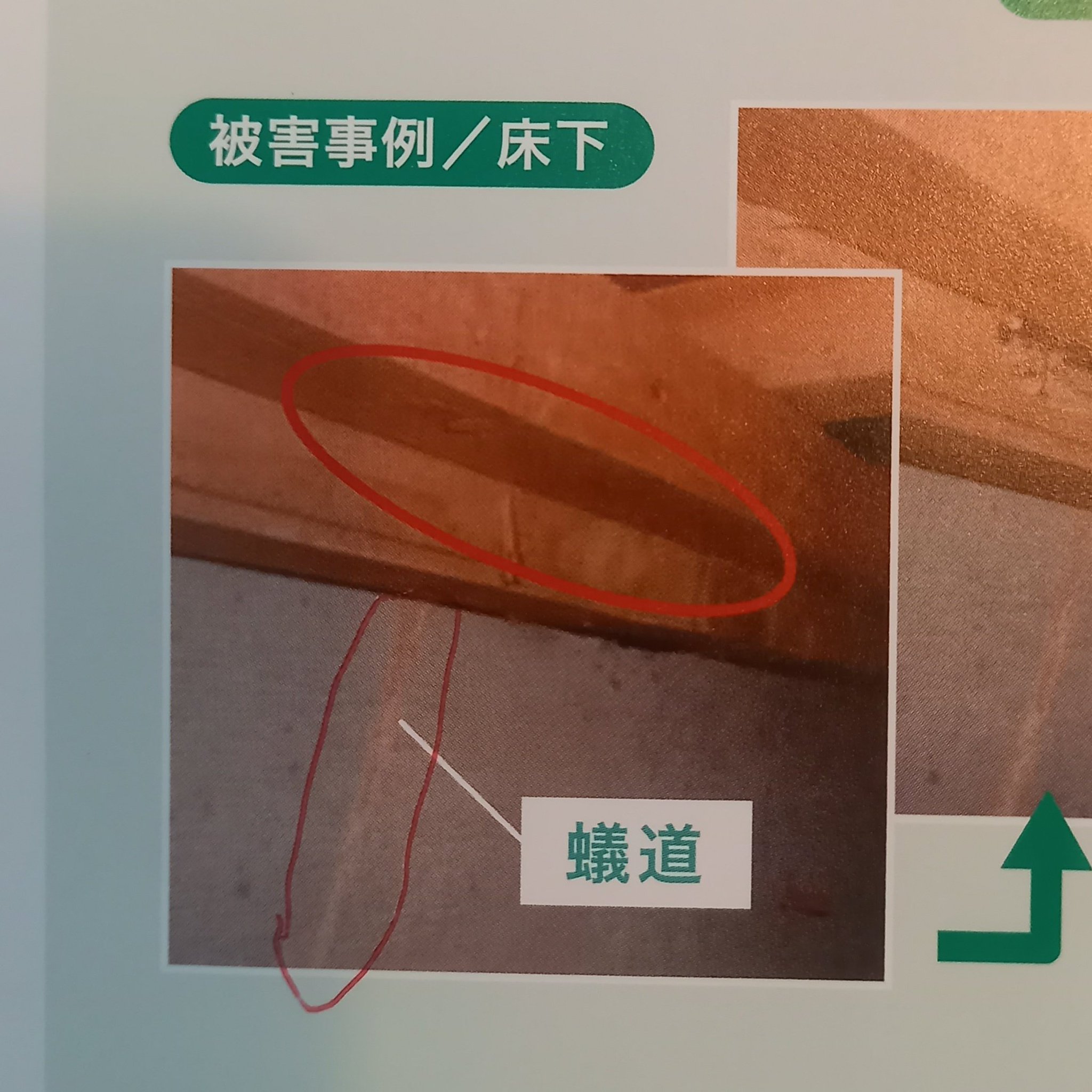 活動歴および当時の関連ビジュアル記録