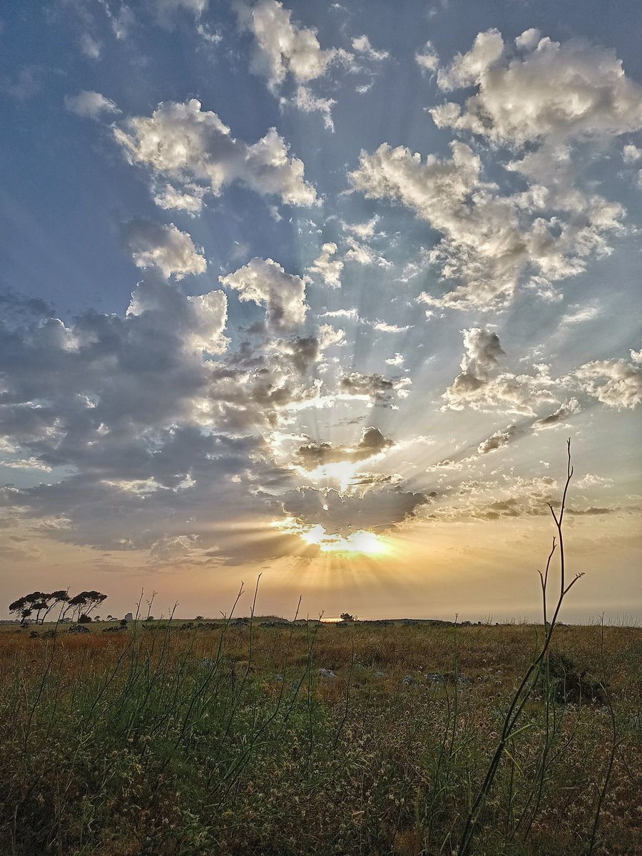 One of these mornings... #Puglia