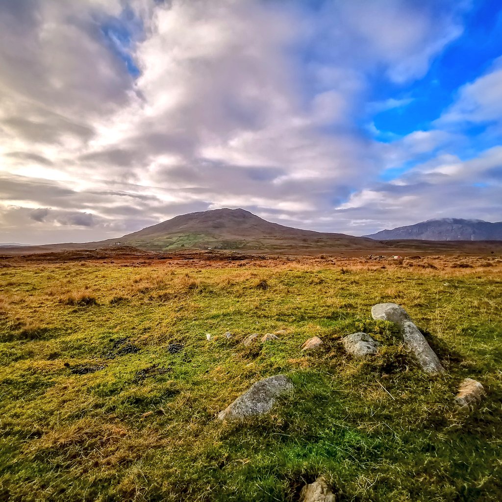 Rachel Dubber tweet media