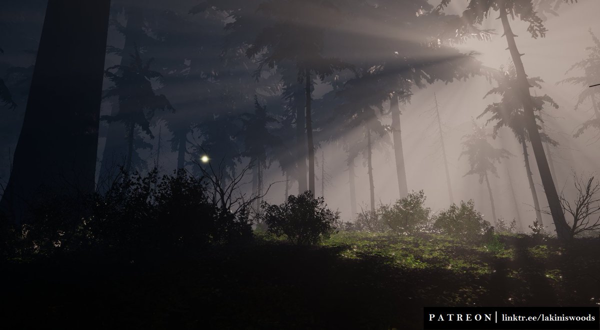 Lost Being

#indiegaming #games #gamer #gamers #game #pc #pcgaming #pnkxfam #openworld #survivalgame #gaming #indiegame #newgame #lakiniswoods #atmosphere #videogames #videogame #forest #forestlife #nature #darkwoods #picoftheday #screenshot #screenshots #gamefootage #gameart