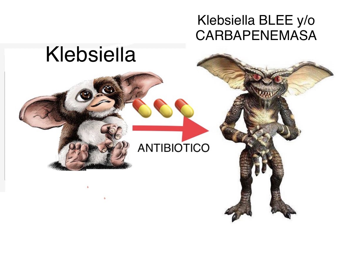 infeccHRUmalaga's tweet photo. En @PRANgob:Las bacterias MULTIRRESISTENTES➡️33.000 muertes/año en Europa☠️.El uso #excesivo e #inadecuado d los antibióticos: Principal causa d aparición d resistencias. Recuerda🤔: Utiliza antibióticos SOLO cuando sean NECESARIOS y el ESPECTRO MÁS PRECISO POSIBLE para evitarlas https://t.co/1MRy22y2Bl