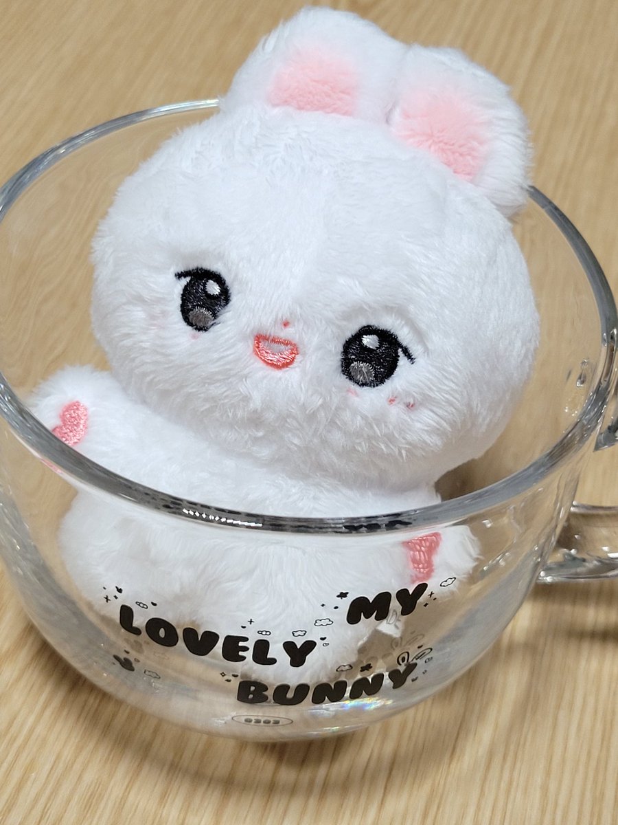 롱버니 진짜 너무 귀여워요🩷

<a href="/rongbunny303/">롱버니 🐰</a>