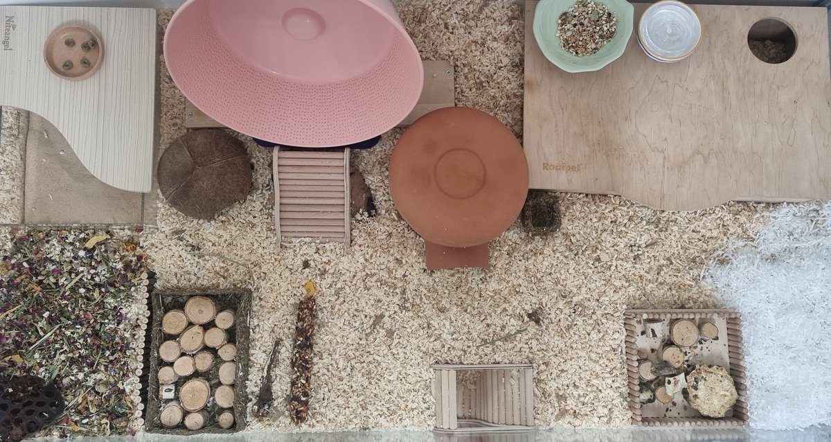 여름맞이 전체갈이☺️
옥수는 잘 지내고 있어요