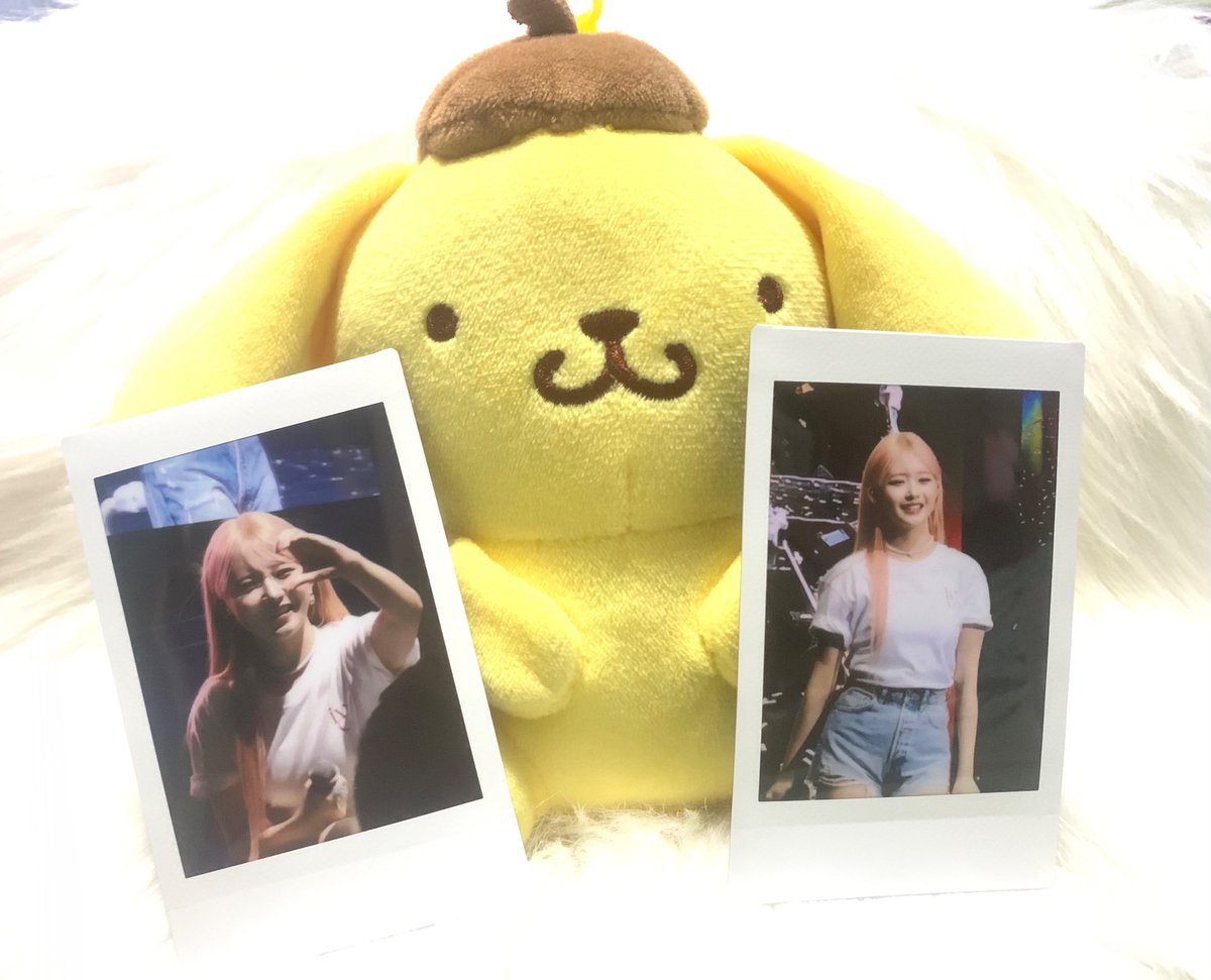 solscart's tweet photo. ββ #solemails ΛΛΛ κ° β‘ κ± ΛΛΛ
β hello!! I have received both of my rei polas in good condition. the packaging was super secured, super pretty ni rei and the quality of the polaroid is excellent! βtil our next! pompompurin approves! (γ₯ΰΉβ’α΄β’ΰΉ)γ₯β‘
β @cuddlinwoo β‘βΈβΈ https://t.co/CDi6FbmhZw