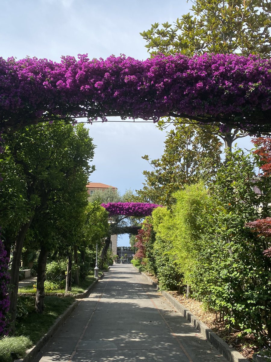 #BuonaDomenica! #HappySunday!
Enjoy relaxation at Boutique Spa La Serra in #Sorrento.
Tel +39 081 8777877
.
#sunday #domenica #facial #benessere #beauty #travelcouple #metime #bellezza #beaute #skincare #wellbeing #facemassage #glow #glowingskin #massages ow.ly/vEGW30f02yG