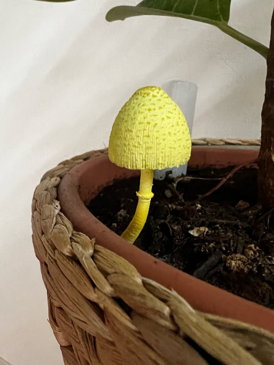 スタンド・バイ・見取り図 on Twitter