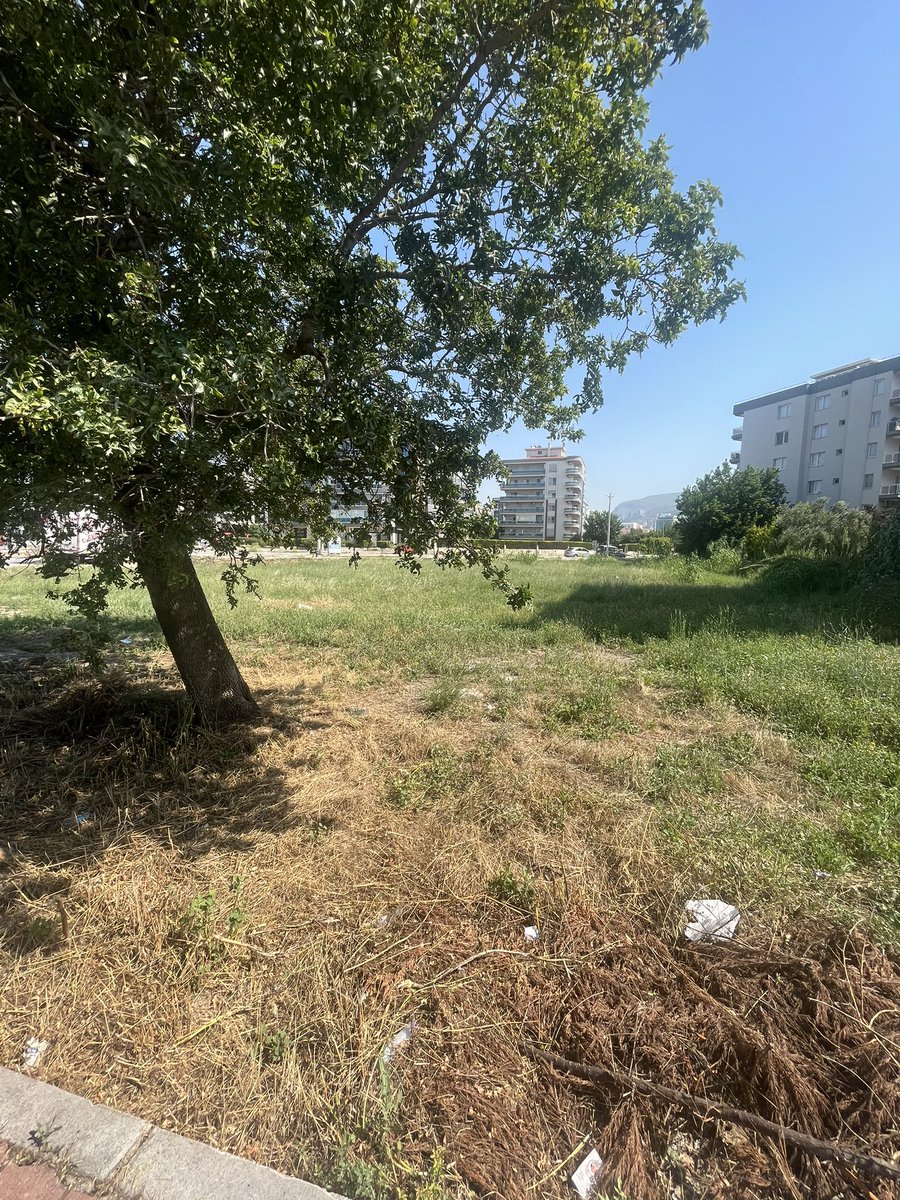 ghostoffearness's tweet photo. Sivrisinek ve böcekte yapması cabası, duramıyoruz. Arsanın geri kalan kısmında apartman bahçelerine kadar uzanan bu otların temizlenmesini talep ediyorum. Her sene düzgün yapılırdı fakat bu sene yarım yamalak iş yapıldı. @utkugumrukcu @ciglibelediyesi @izmirhim https://t.co/JZsmjFHQF4
