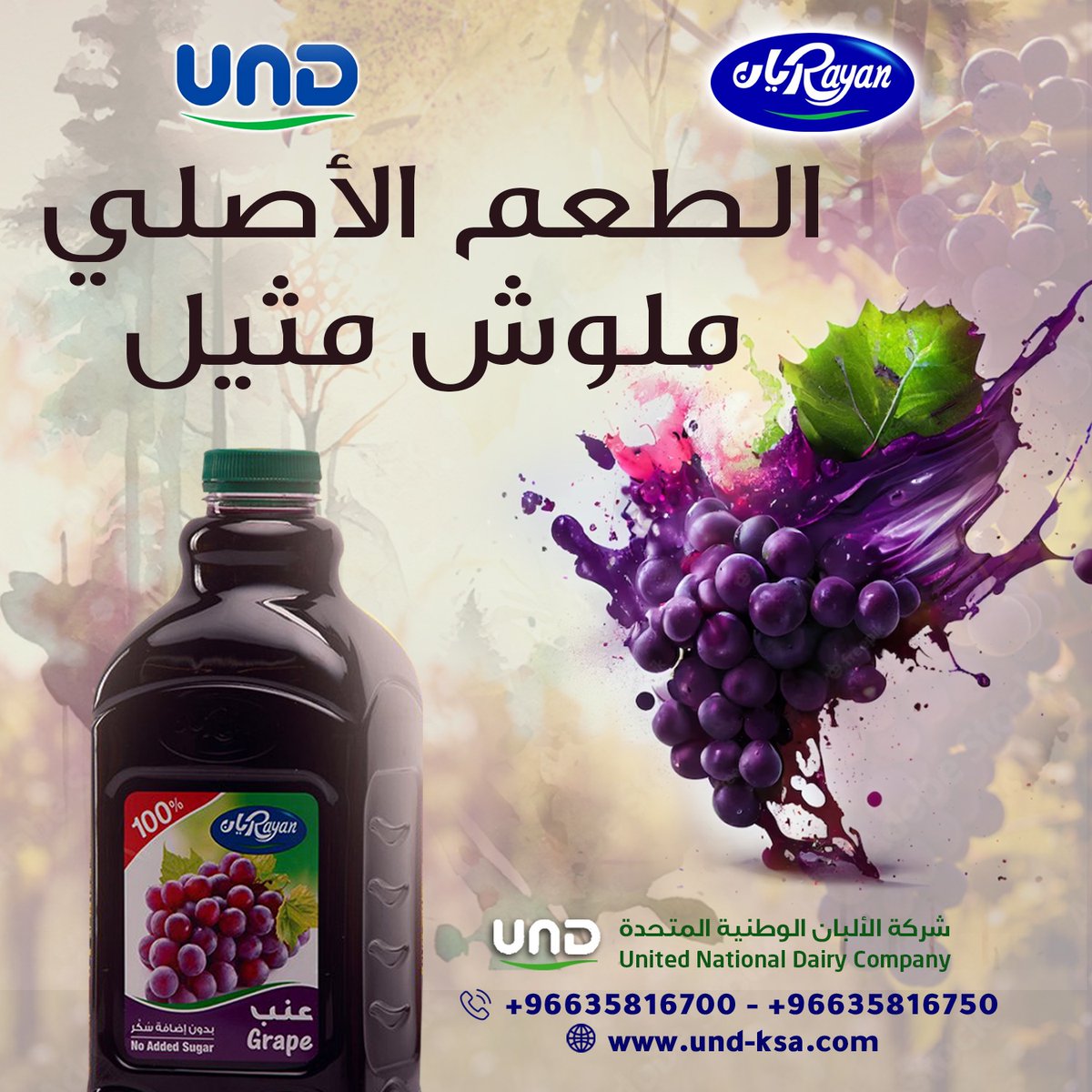 Rayan ريان tweet media