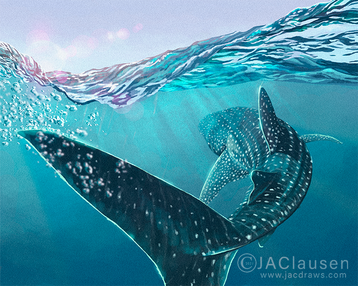 No drawing today because I hurt my shoulder, so here is a very off theme Whale Shark for #SundayFishSketch
