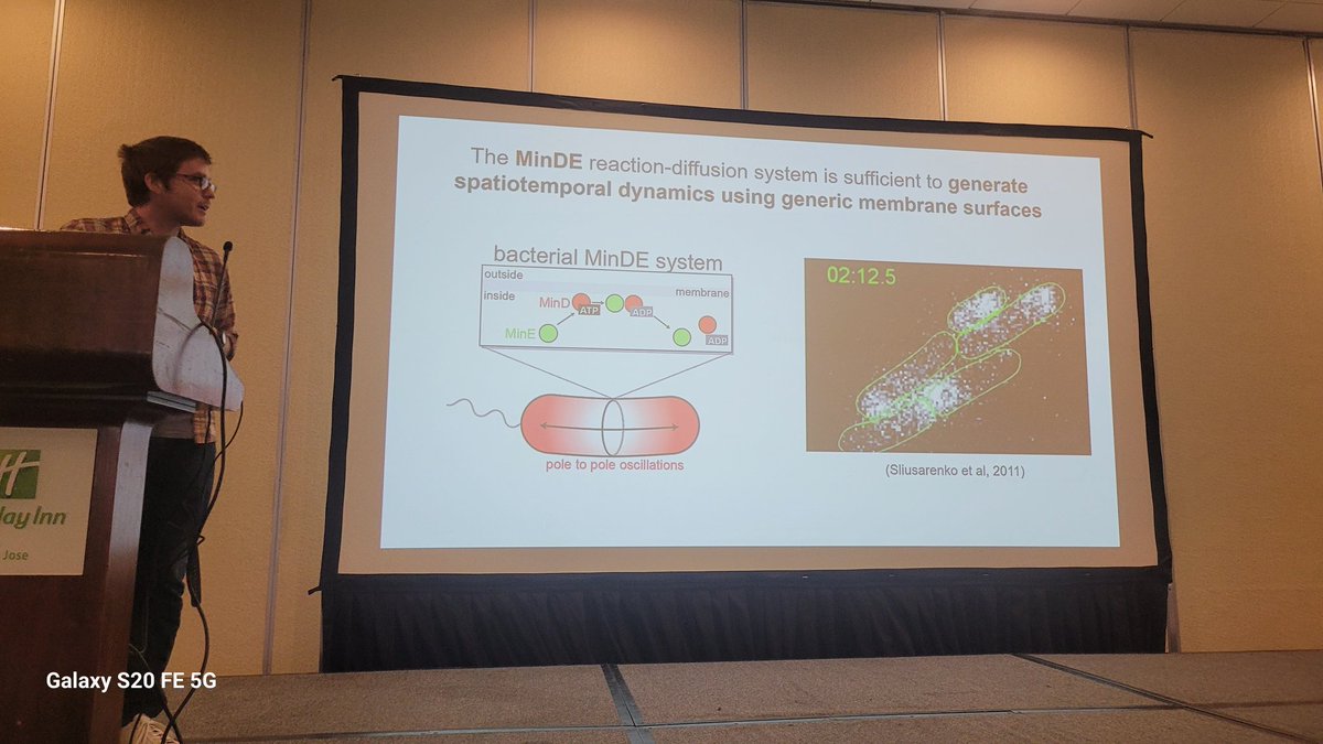 Leili_Rohani's tweet image. Spatiotemporal reaction-diffusion systems: #msbw2023 @CellRaiser_ explained reaction-diffusion systems: #ModelsOfInteracting chemicals that can generate #Spatiotemporal behaviour: Conventional basis of #Morphogenes #Patterning #Activator #Inhibitor #Loop-Feedback-Loop