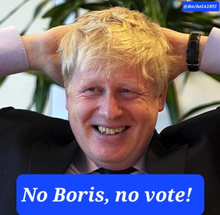 There must be many former members and voters who'll never support @Conservatives under 🐍 Sunak. I think they're finished. I won't forget the 118 MPs who backed Harman & the 🦘🦘🦘. I'm hoping that @BorisJohnson will return, preferably as leader of a new centre right party.