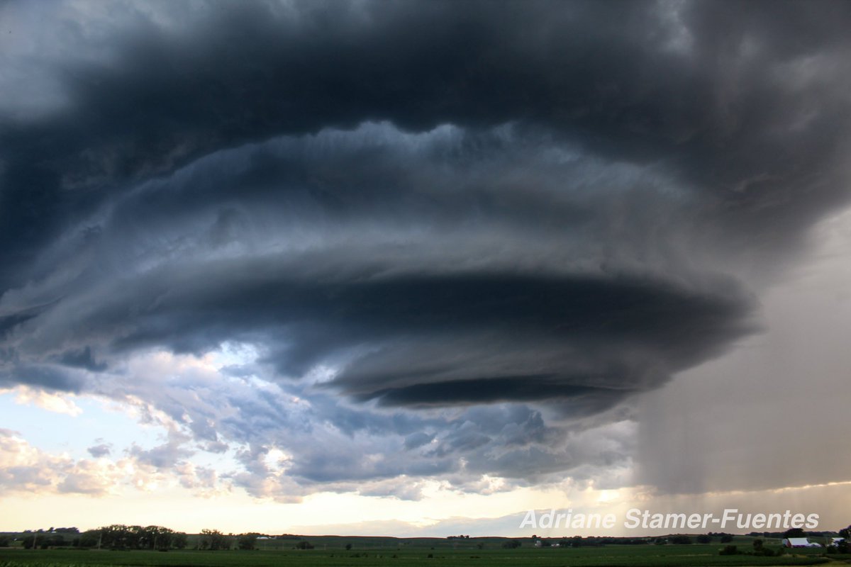 Adriane StamerFuentes on Twitter "Closer photo of the cell near Le