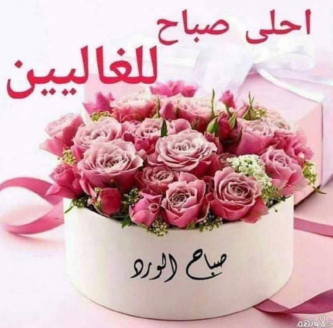 zak999931's tweet photo. ما بال قلبك بالظنونِ م��رَوَّعُ
ويظلّ بعد سجودهِ يتوجّعُ

أو لستَ تَسمَعُ كلَّ ما  تدعو به!
سَمْعُ الذي أعطاكَ سمعَك أوسعُ

فاسكن وثق أنّ الدعاء بمأمنٍ
ما تاه صوتك إن ربك يسمعُ.
             ***********
اللهم نور قلوبنا بالإيمان .
وزين عقولنا بالحكمة .
 وعافي أبداننا بالصحة والعافية . واشملنا بعفوك ورحمتك ولطفك . 
 اللهم يسر أمورنا ، وفرج همومنا ، واستر عيوبنا ، ووسع أرزاقنا، واقضي ديوننا وحوائجنا، واجبر خواطرنا، وأصلح أحوالنا ، واغفر لنا ولوالدينا ، وتوفنا وأنت راض عنا يا أرحم الراحمين . 
🩷طبتم  وطاب  صباحكم 🩷