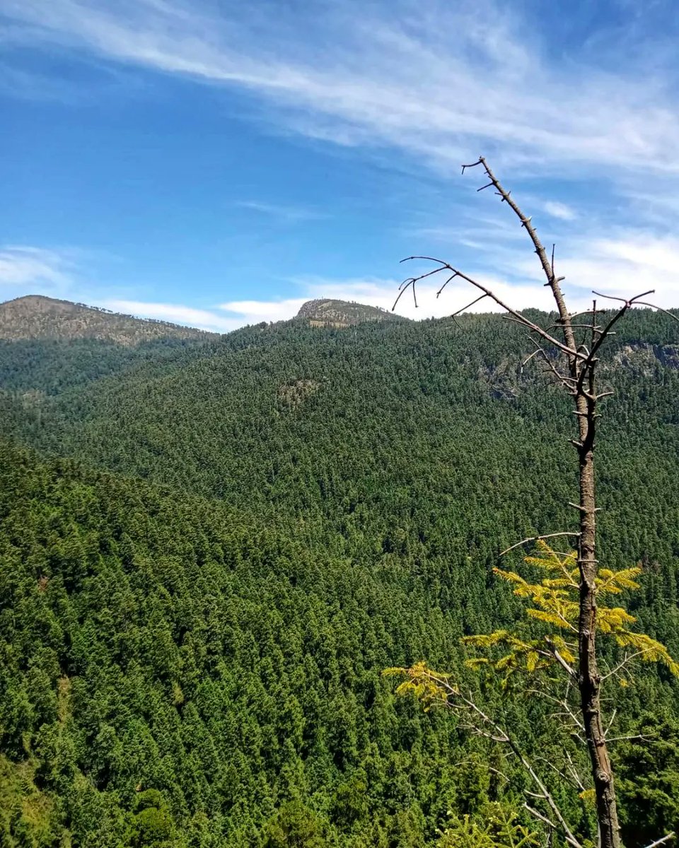 ChilangaLectora's tweet photo. El aquelarre de hoy fue un hermoso reto físico y mental. 😍 Fuimos con https://t.co/fk5hvtnp6L (en instagram las encuentran y son grandes guías⚡) https://t.co/3gGn1Z0soH
