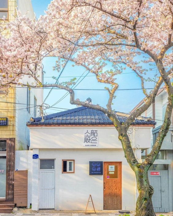 꿈범벅 (@jumbledream) on Twitter photo 