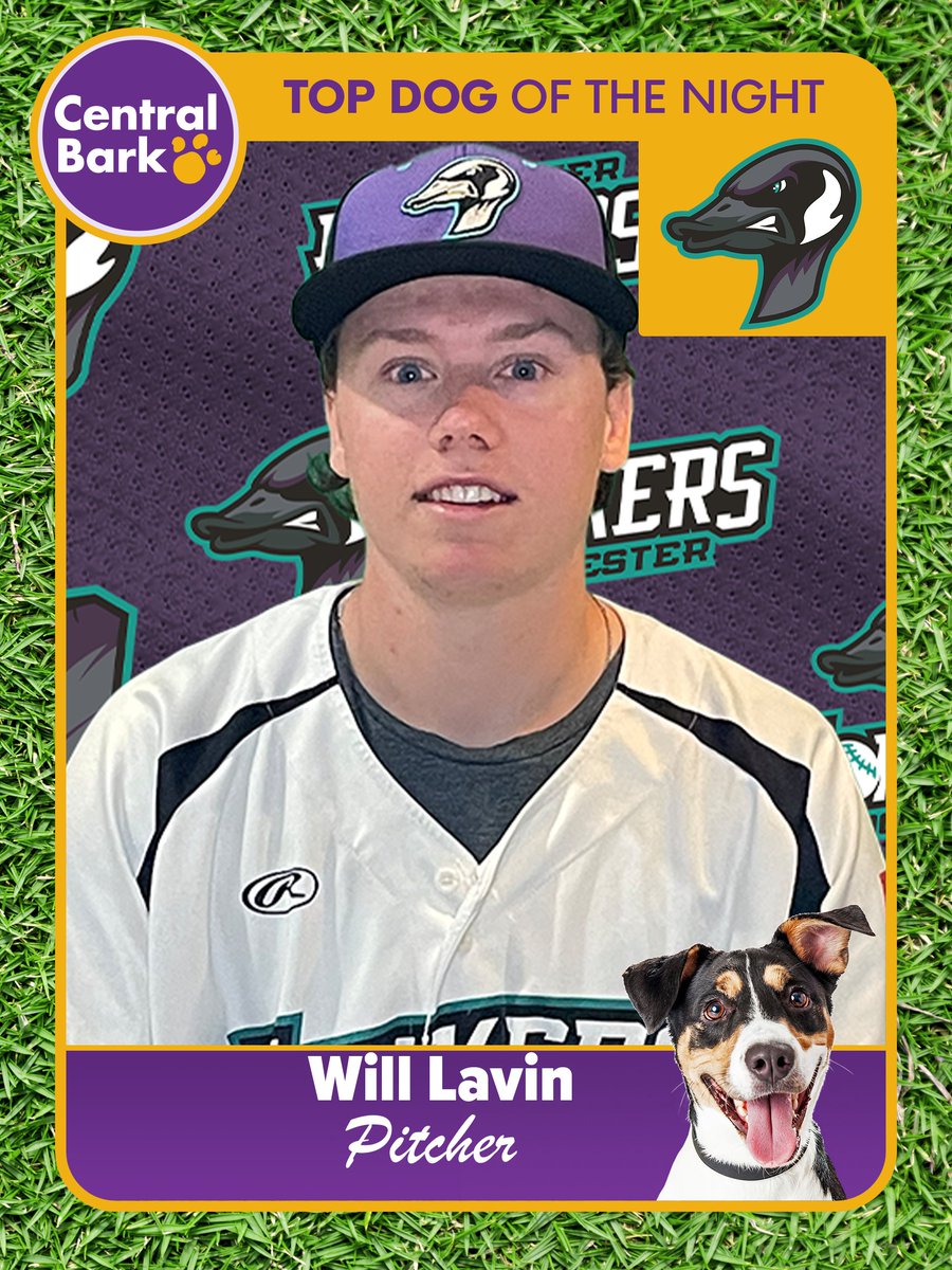 WHAT. A. WIN. In 13 innings, we took down the Wilmar Stingers 5-4 in walk-off fashion. Will Lavin got us there in relief, going 4.2 innings with no earned runs and seven strikeouts. He is our <a href="/CentralBarkRCH/">Central Bark Rochester</a> Top Dog of the Night! #CentralBarkRochester #FunForTheWholeFlock