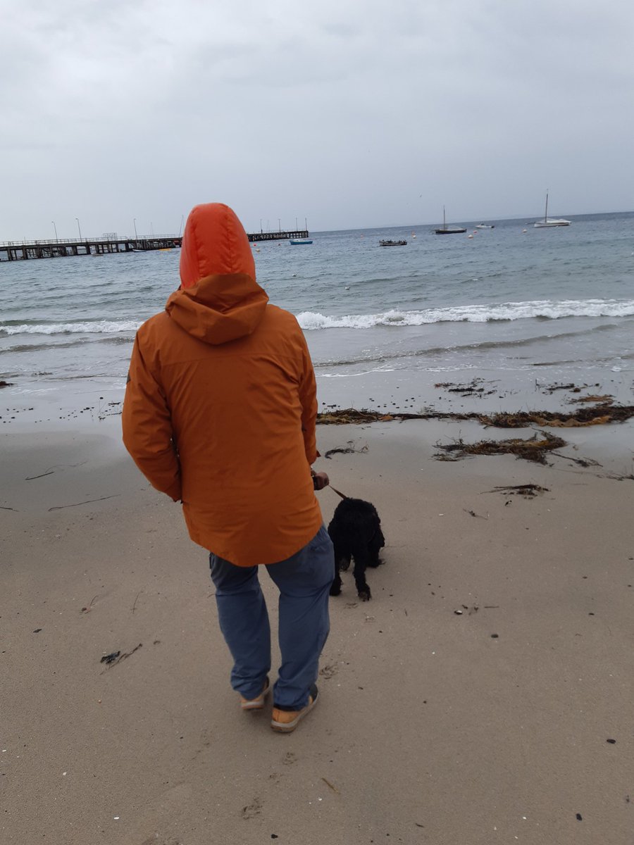 Lovely Melbourne beach day. No whales in sight today.