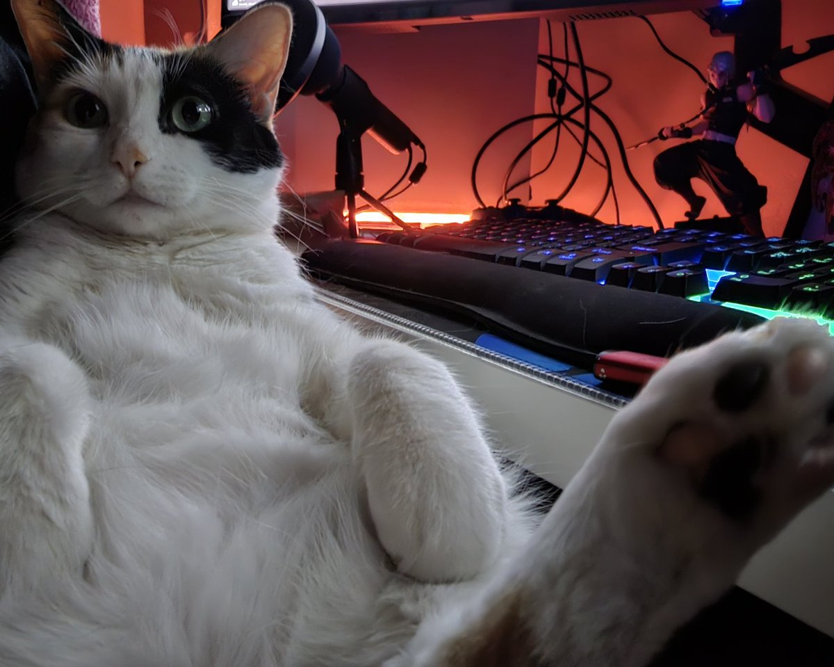 grenlimcat's tweet image. The gamer