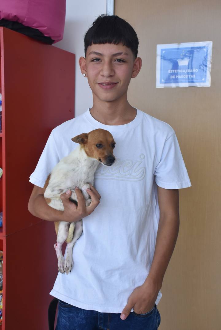 🧵👉🏻🚨 El otro lado de la moneda: Fernando, el adolescente de 15 años, rescatista y amante de los animales que se ha trazado la meta de rescatar perritos en situación de maltrato y abandono, tiene cerca de tres años dedicando su tiempo a cuidar y buscar hogar a los perritos.