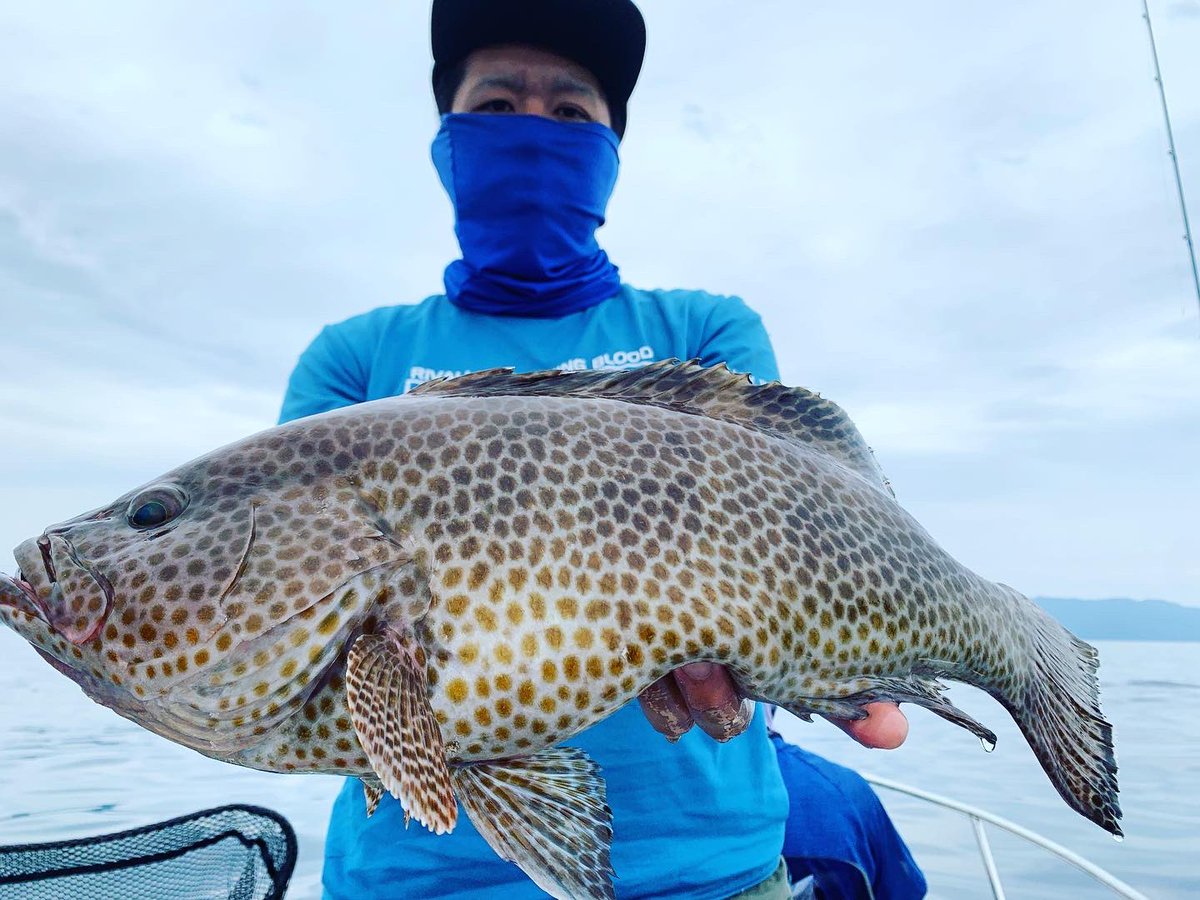 dag23583448's tweet photo. SLJ &amp;タイラバ釣行
新規開拓でいつもとは違うところに行きましたがハガツオしか釣れず撃沈。
急いで船上げていつもの場所へ
朝マズメ逃して諦めてましたが
なんとか良型ゲット🐟

#天草
#天草釣り
#オフショア
#トレーラブルボート
#neo374 https://t.co/11X8Lw6jqs