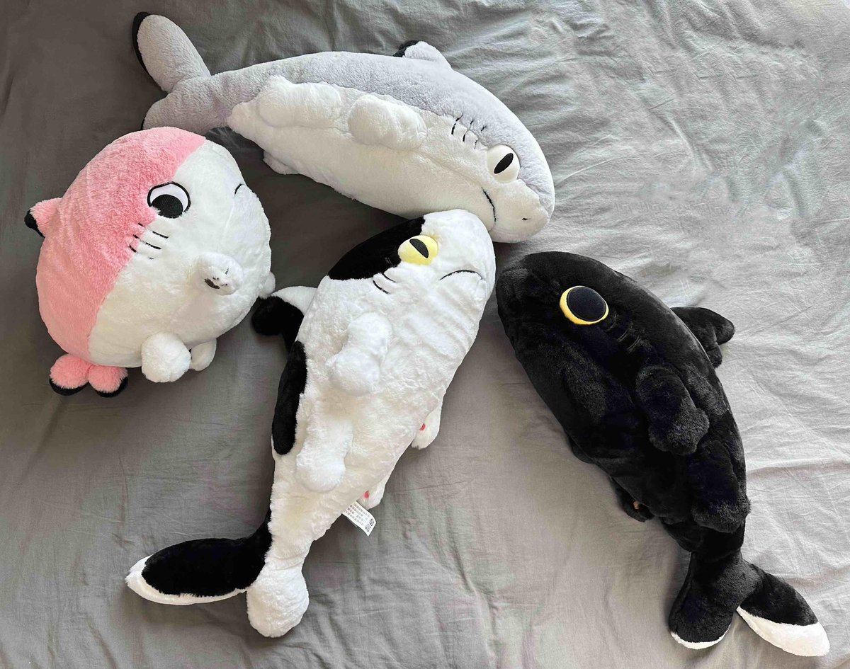Sharkitty plush toys ，sale on AMZ！！ super soft！❤️ Click