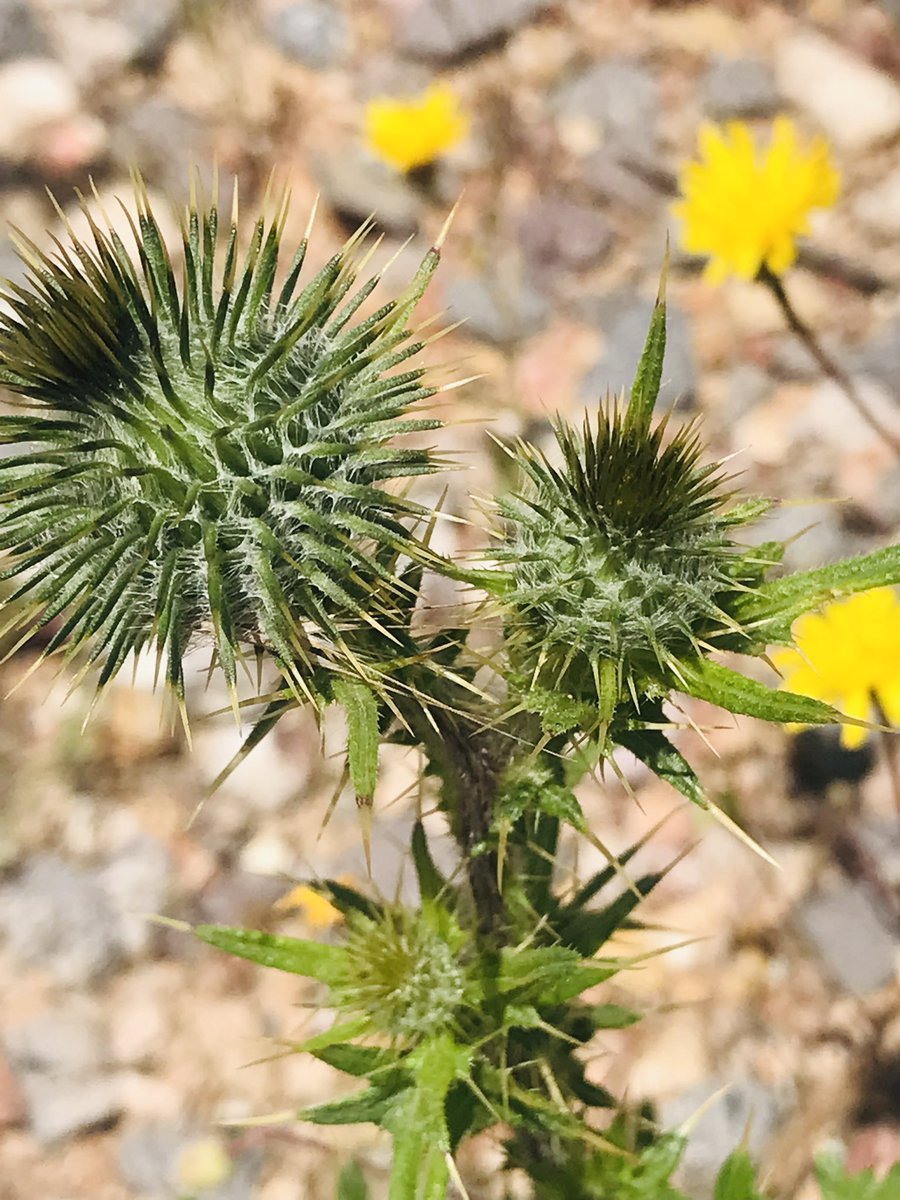 Çalışanlara, öğleye kadar yatanlara…🙄

 Günaydın mutlu pazarlar…💛💙🌹🌹🌹☕️☕️