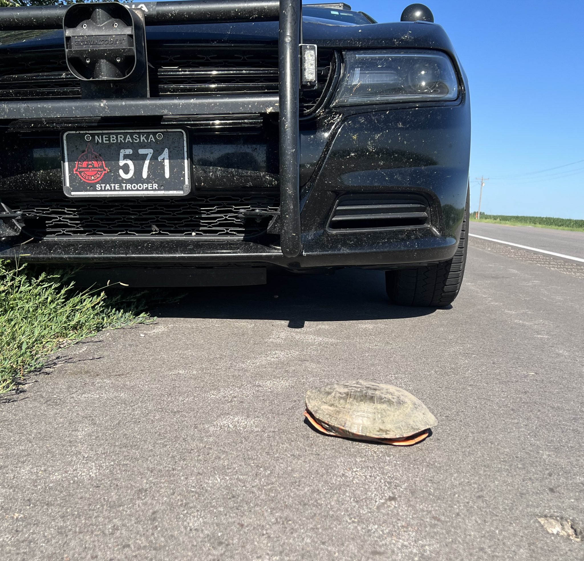 Omaha Scanner Twitter - j0jd239