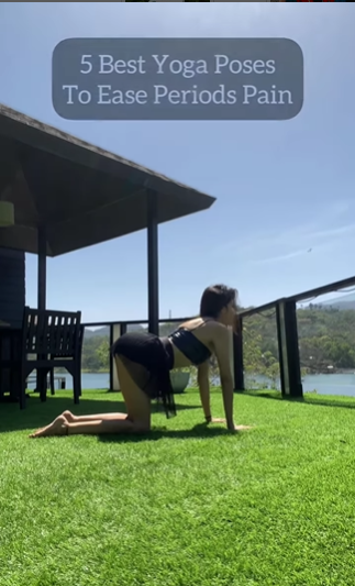Tashiara- Blogger tweet media