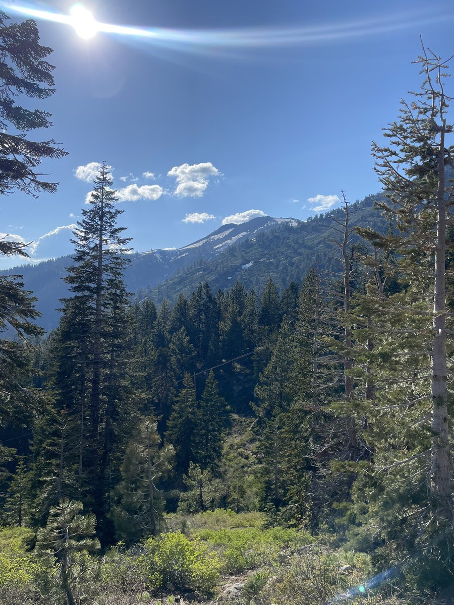 crdoelling's tweet image. Had so much fun at #ASP2023 in Reno/Lake Tahoe! 🎉🐵