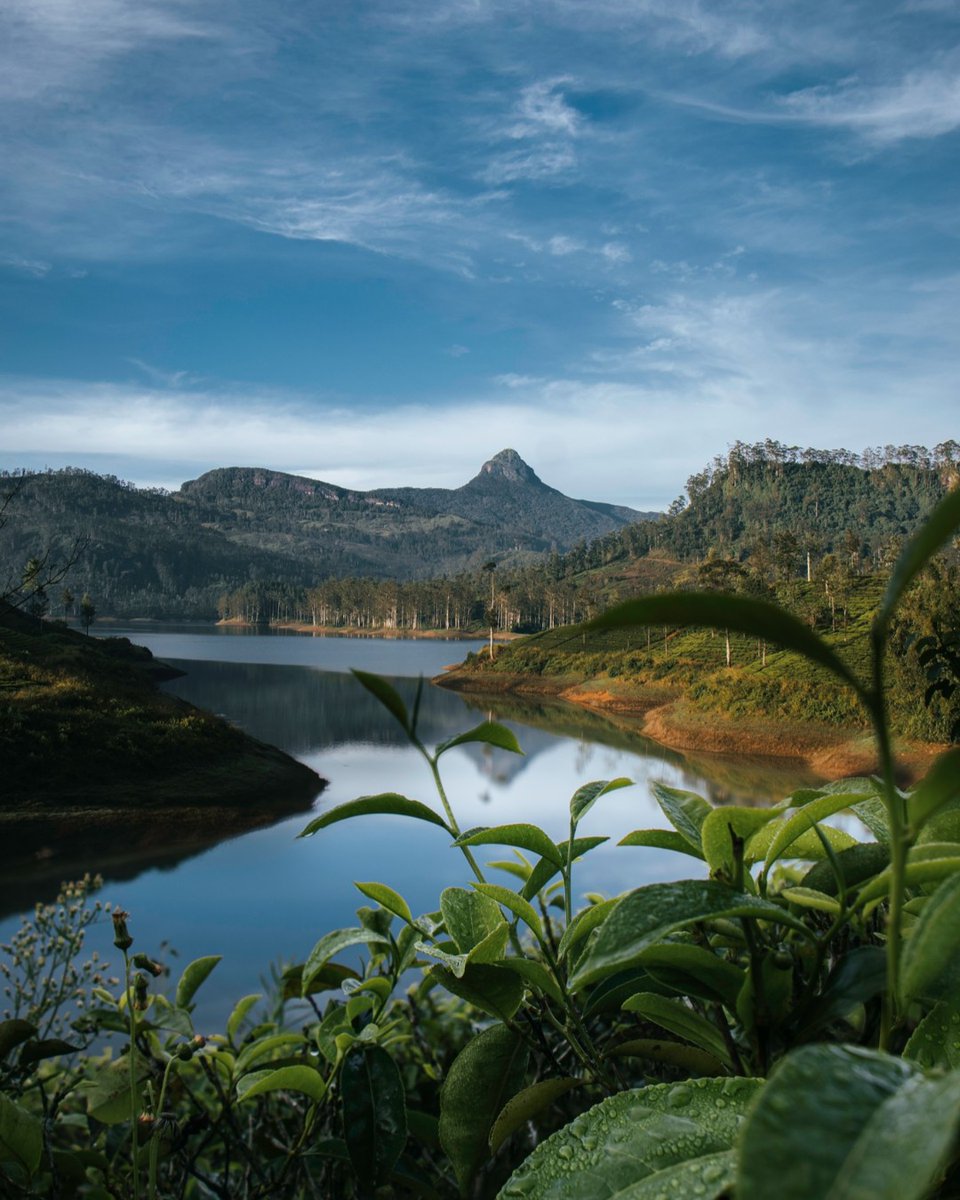 Columbus Tours Sri Lanka tweet media