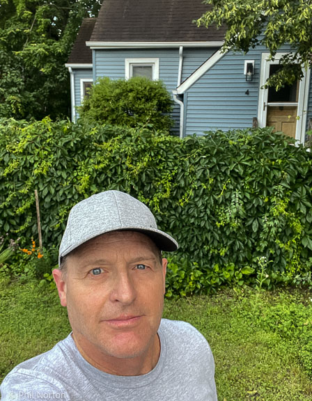 phil_norton's tweet photo. Neglected my hedge trimming....how do I get to my house!? #princeedwardcounty #pictonontario #gardening #virginiacreeper #hedgetrimmer #privacyplanting https://t.co/c8mKOx0bit