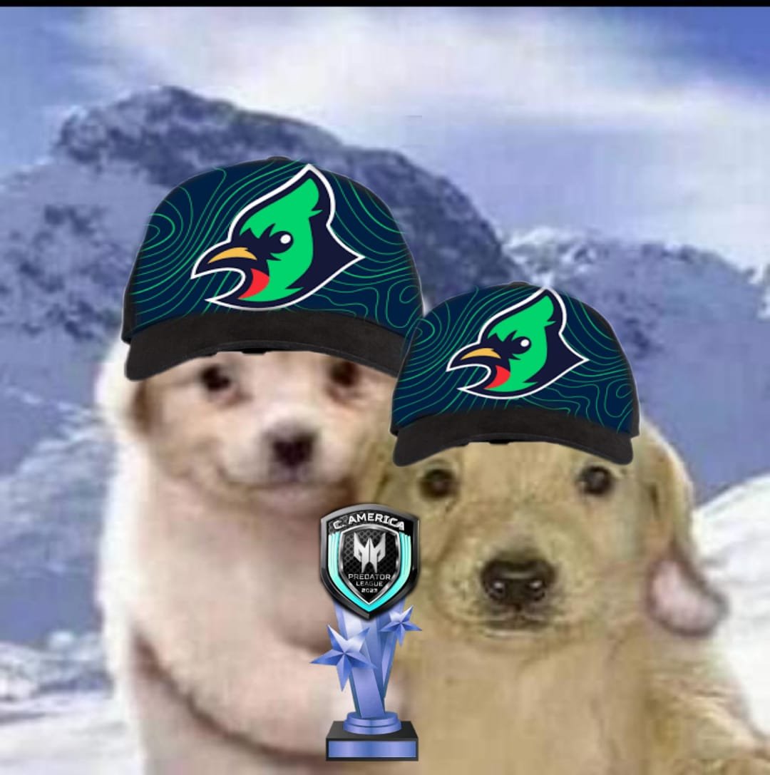mocinnos's tweet photo. Campeones de la Predator League Guatemala por segundo año consecutivo 💚🇬🇹 GG https://t.co/0Z37SNn8Dh