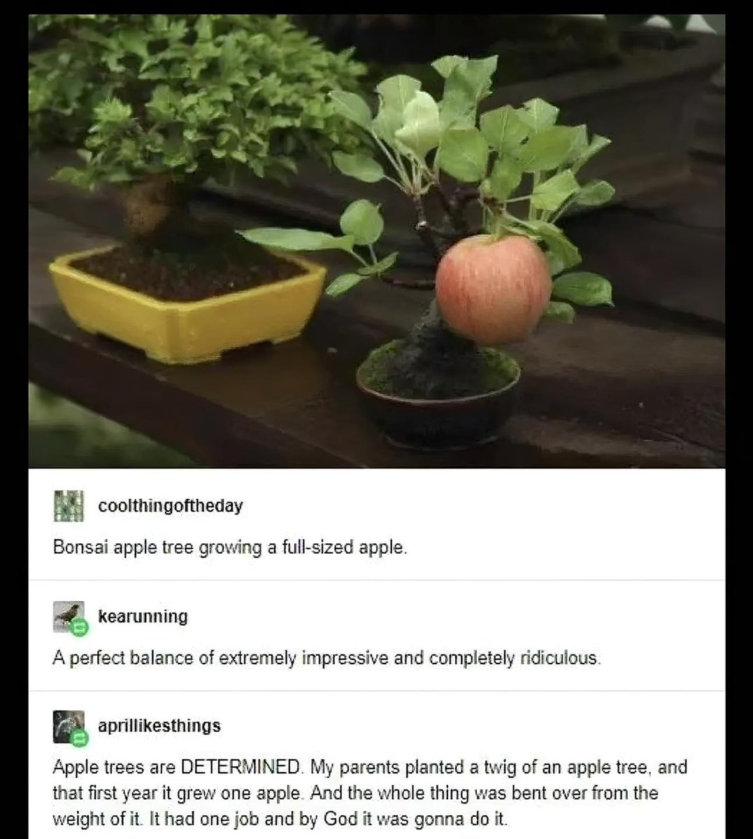 WholesomeMeme's tweet photo. https://t.co/1rvWvIpSOL