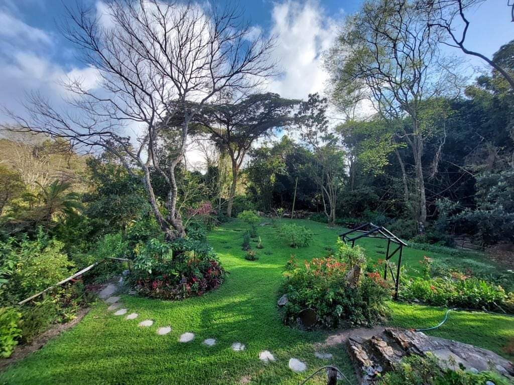 zimadventures's tweet photo. 📌The Eastern Highlands is a place where you go to refresh and breath fresh air, see beautiful scenery and go hiking or waterfall chasing🇿🇼

💠Our Vumba Royal Package goes for $396 inclusive of Dinner, bed and breakfast for 2 nights plus a scenic horse riding activity, all for 2 adults😊

⚜️Remember that you can pay in flexible instalments on all our bookings throughout the year and we can customize them to suit your needs🤝

📲Whatsapp at +263783682334 for bookings, Holiday Packages, group trips, bus hires and more