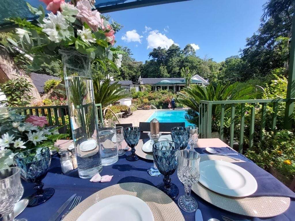 zimadventures's tweet photo. 📌The Eastern Highlands is a place where you go to refresh and breath fresh air, see beautiful scenery and go hiking or waterfall chasing🇿🇼

💠Our Vumba Royal Package goes for $396 inclusive of Dinner, bed and breakfast for 2 nights plus a scenic horse riding activity, all for 2 adults😊

⚜️Remember that you can pay in flexible instalments on all our bookings throughout the year and we can customize them to suit your needs🤝

📲Whatsapp at +263783682334 for bookings, Holiday Packages, group trips, bus hires and more