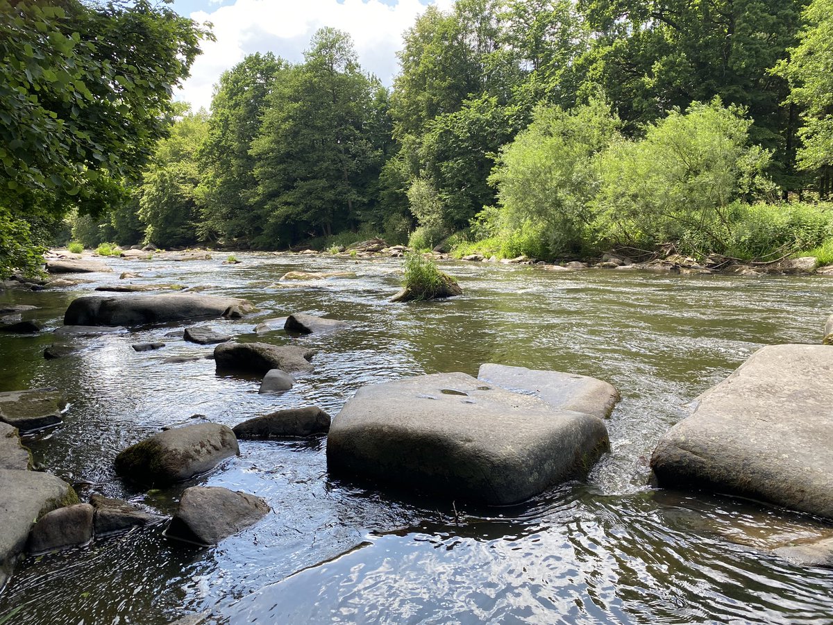 tony_ver2's tweet photo. Výlet podél Sázavy 24.06.2023
#turistika #CzechRepublic #vylety #czechia #les #forest #sazava #Summer #hikingadventures #vysocina #kraj #ledec #svetla #Summervibes #river 2/2 https://t.co/VUwwTrLdFi