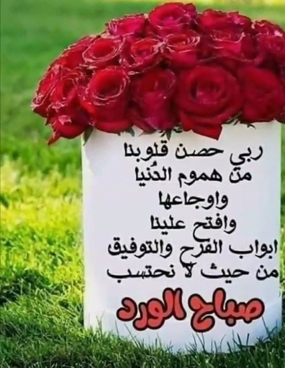 ‏❥‏مـﮯـﯾرةღالأًّمـﮯـﯾرة❥ (@_mji4) on Twitter photo 